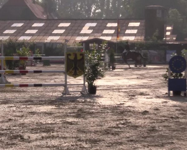 Reitturnier Bissendorf - Gut Stockum 2016