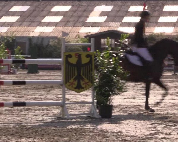 Reitturnier Bissendorf - Gut Stockum 2016