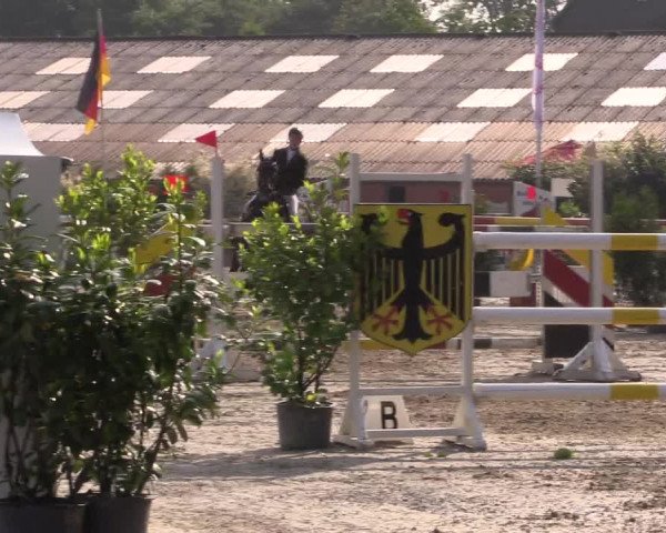 Reitturnier Bissendorf - Gut Stockum 2016