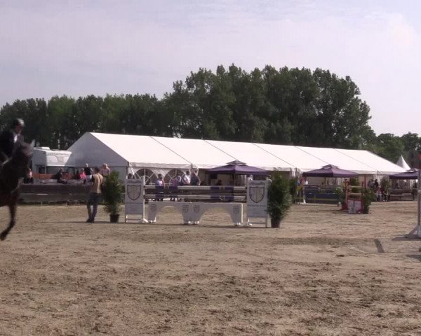 Reitturnier Bissendorf - Gut Stockum 2016