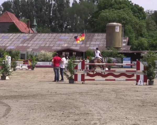 Reitturnier Bissendorf - Gut Stockum 2016