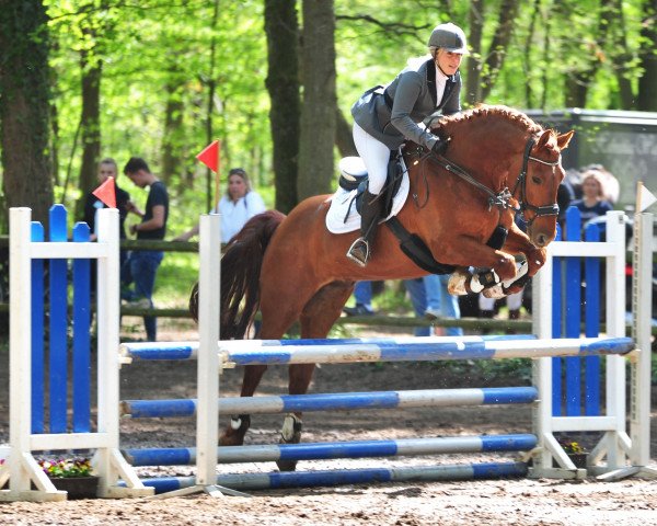 jumper Don's Disney (Pinto, 2010, from Don Van Atta)