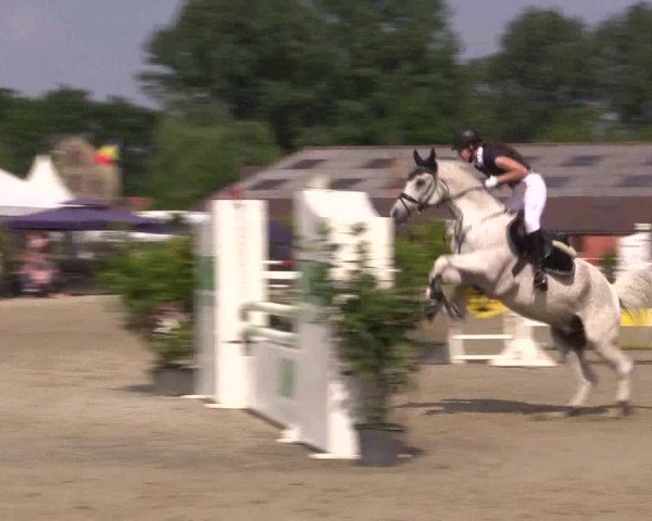 Reitturnier Bissendorf - Gut Stockum 2016