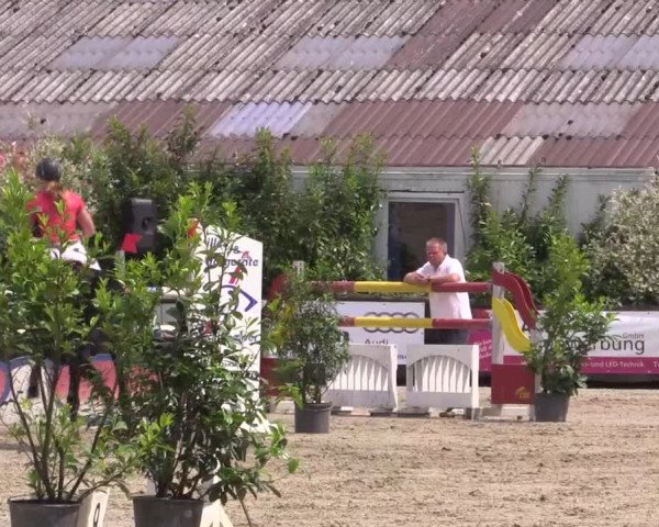 Reitturnier Bissendorf - Gut Stockum 2016