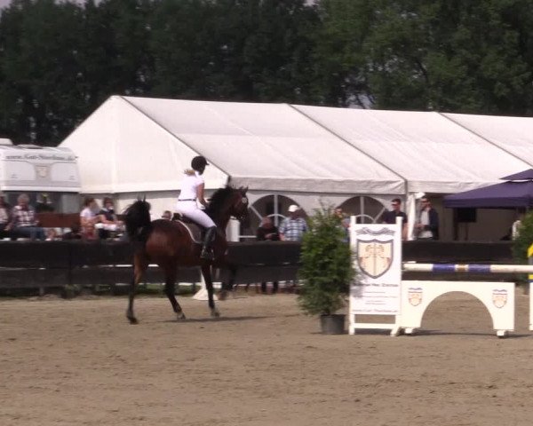 Reitturnier Bissendorf - Gut Stockum 2016