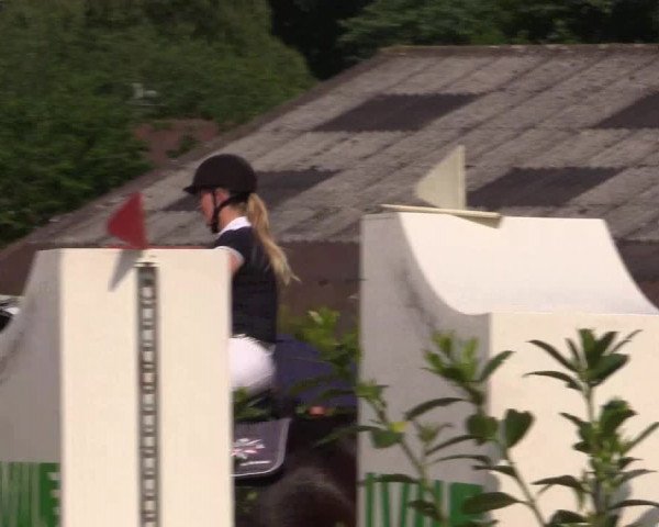 Reitturnier Bissendorf - Gut Stockum 2016