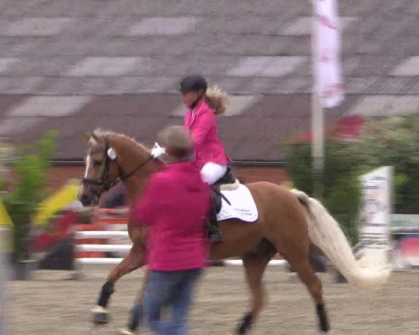Reitturnier Bissendorf - Gut Stockum 2016