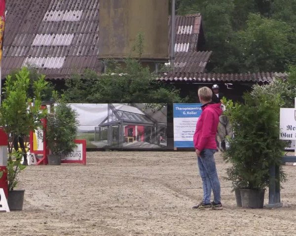Reitturnier Bissendorf - Gut Stockum 2016