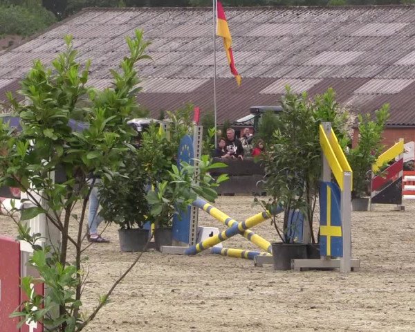 Reitturnier Bissendorf - Gut Stockum 2016