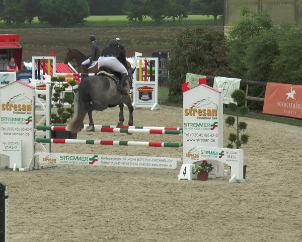 Reitturnier Kirchhellen/Stall Dieckmann 2016