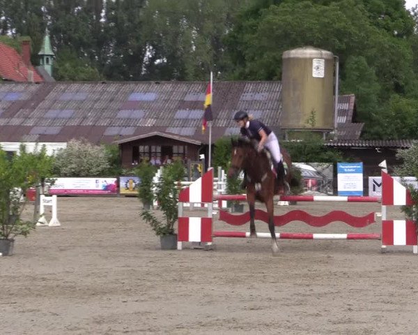 Reitturnier Bissendorf - Gut Stockum 2016