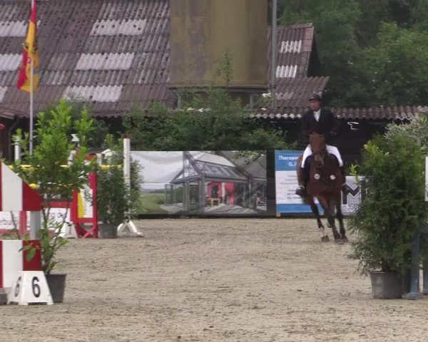 Reitturnier Bissendorf - Gut Stockum 2016