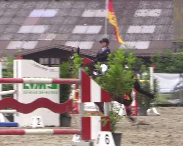 Reitturnier Bissendorf - Gut Stockum 2016