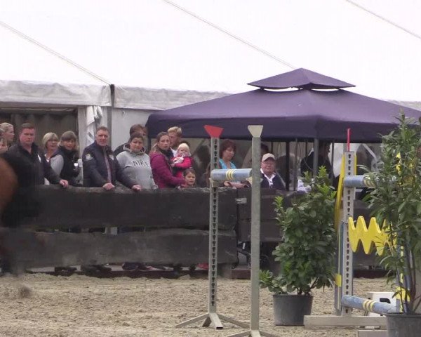 Reitturnier Bissendorf - Gut Stockum 2016