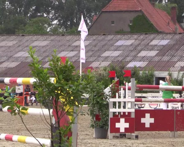 Reitturnier Bissendorf - Gut Stockum 2016