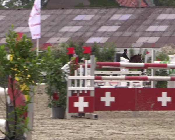 Reitturnier Bissendorf - Gut Stockum 2016