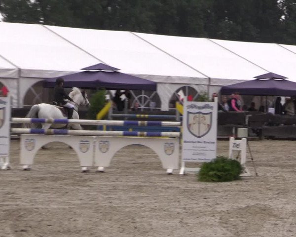 Reitturnier Bissendorf - Gut Stockum 2016