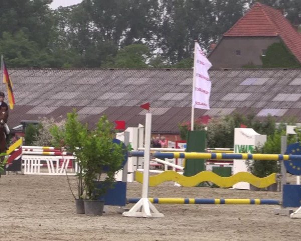 Reitturnier Bissendorf - Gut Stockum 2016
