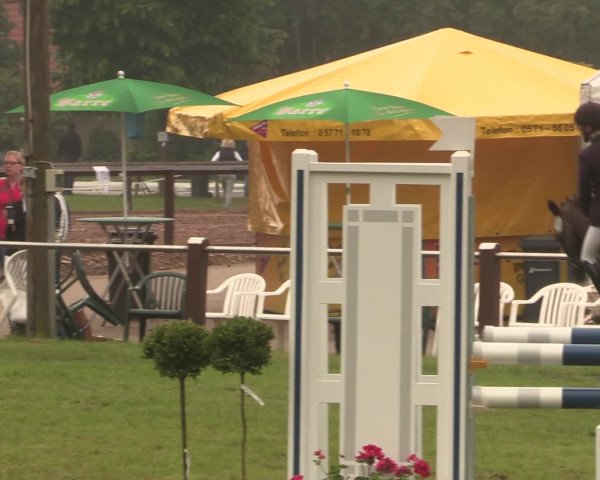 Reitturnier Hille 2016