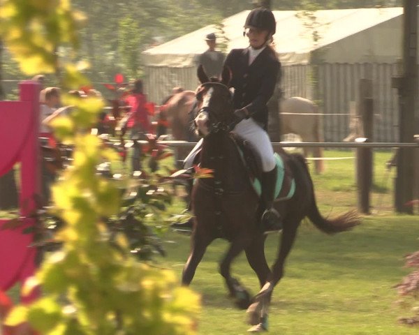 Reitturnier Hille 2016