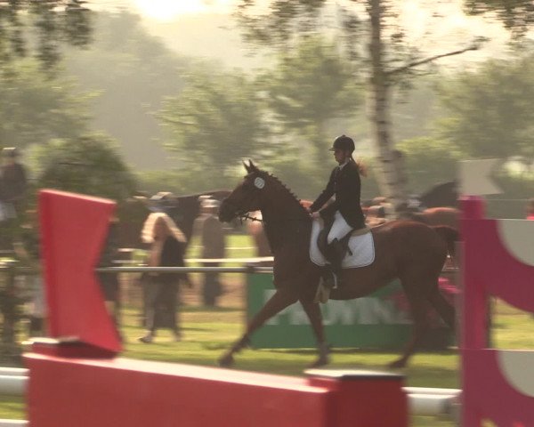 Reitturnier Hille 2016