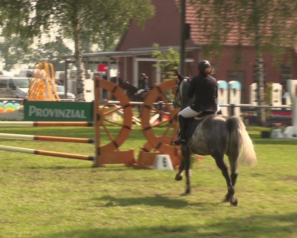Reitturnier Hille 2016
