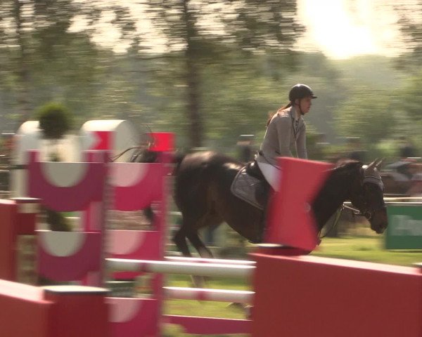 Reitturnier Hille 2016