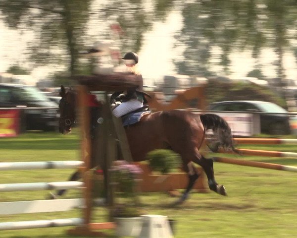 Reitturnier Hille 2016