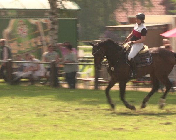 Reitturnier Hille 2016
