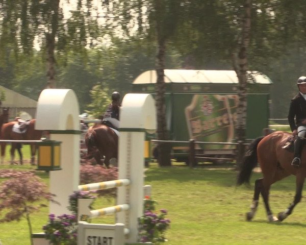Reitturnier Hille 2016