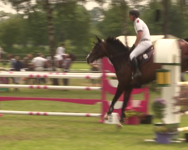 Reitturnier Hille 2016