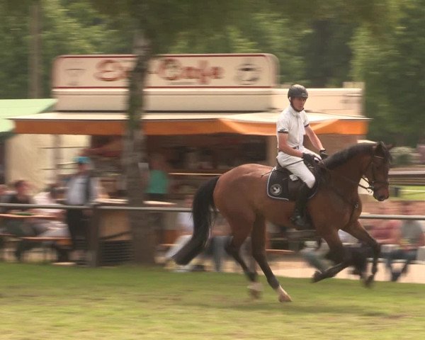 Reitturnier Hille 2016