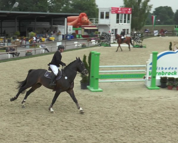 Reitturnier Kirchhellen/Stall Dieckmann 2016