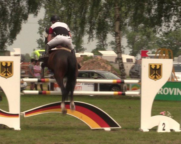 Reitturnier Hille 2016