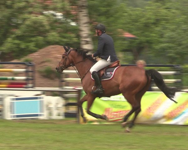 Reitturnier Hille 2016