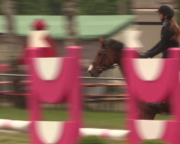 Reitturnier Hille 2016