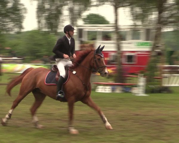 Reitturnier Hille 2016