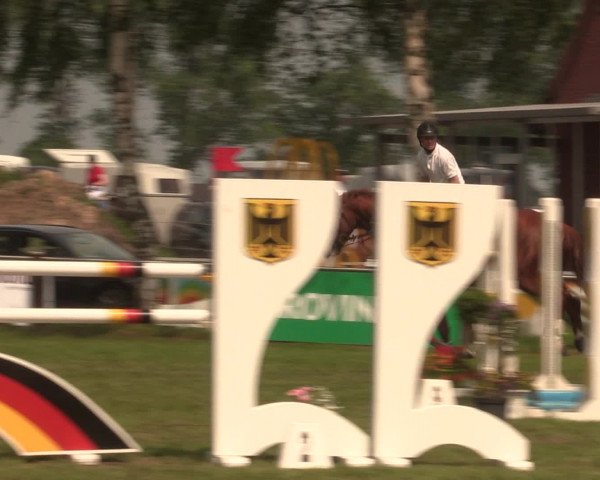 Reitturnier Hille 2016