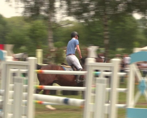 Reitturnier Hille 2016