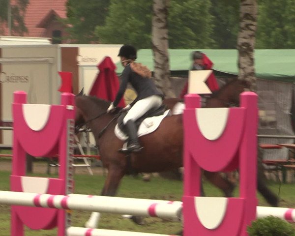 Reitturnier Hille 2016