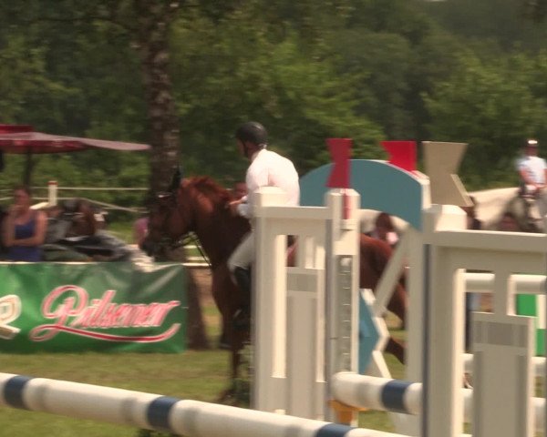 Reitturnier Hille 2016