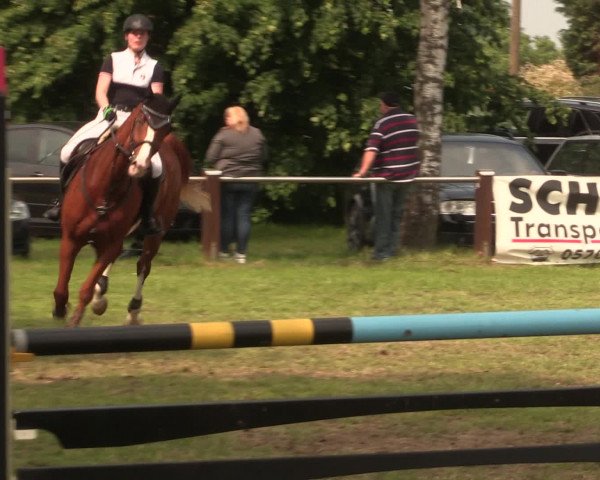 Reitturnier Hille 2016