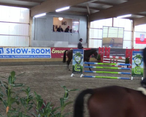 Große Jumping-Trophy Pausin 2021