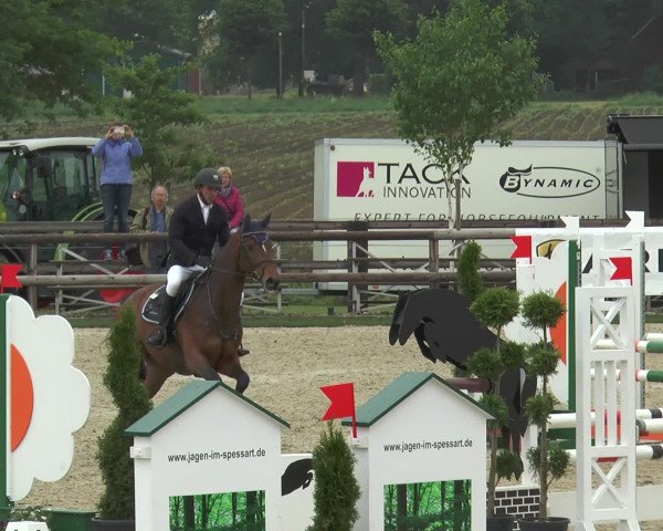 Reitturnier Kirchhellen/Stall Dieckmann 2016