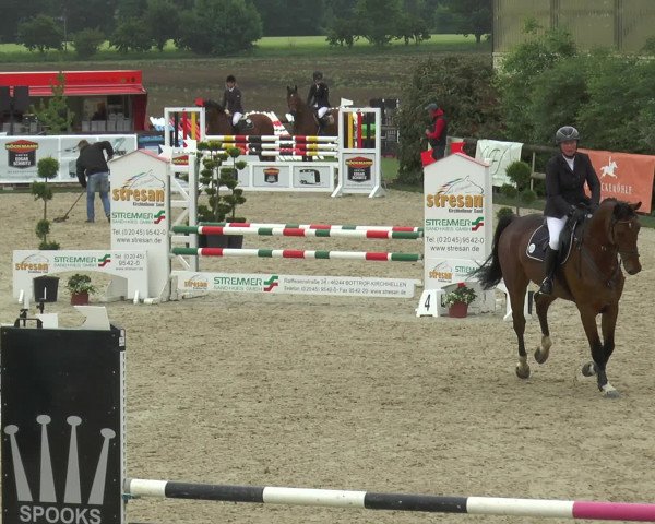 Reitturnier Kirchhellen/Stall Dieckmann 2016