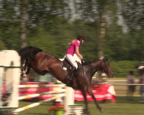 Reitturnier Hille 2016