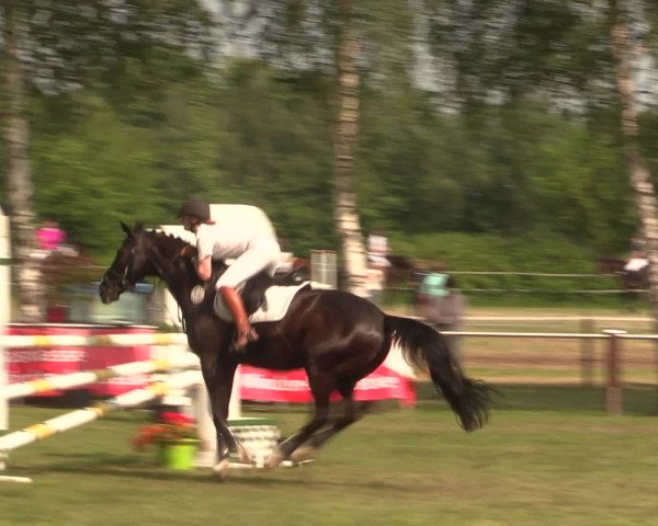 Reitturnier Hille 2016