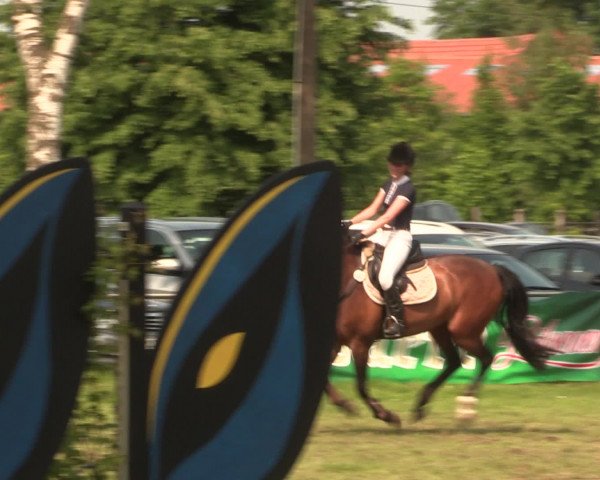 Reitturnier Hille 2016
