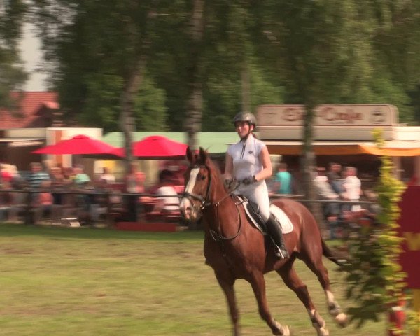 Reitturnier Hille 2016