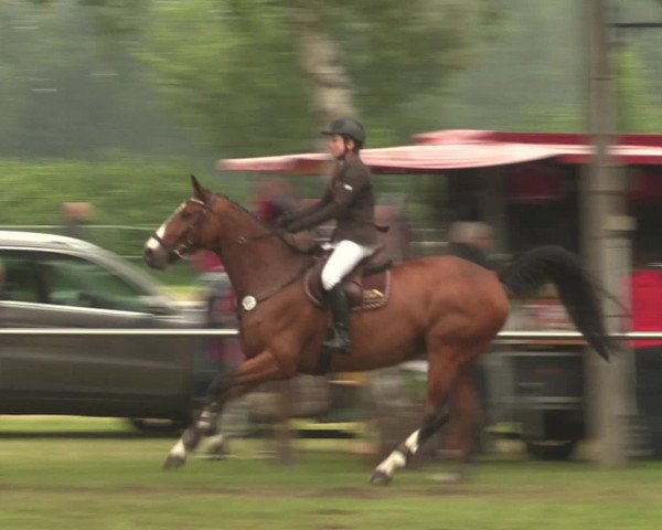 Reitturnier Hille 2016